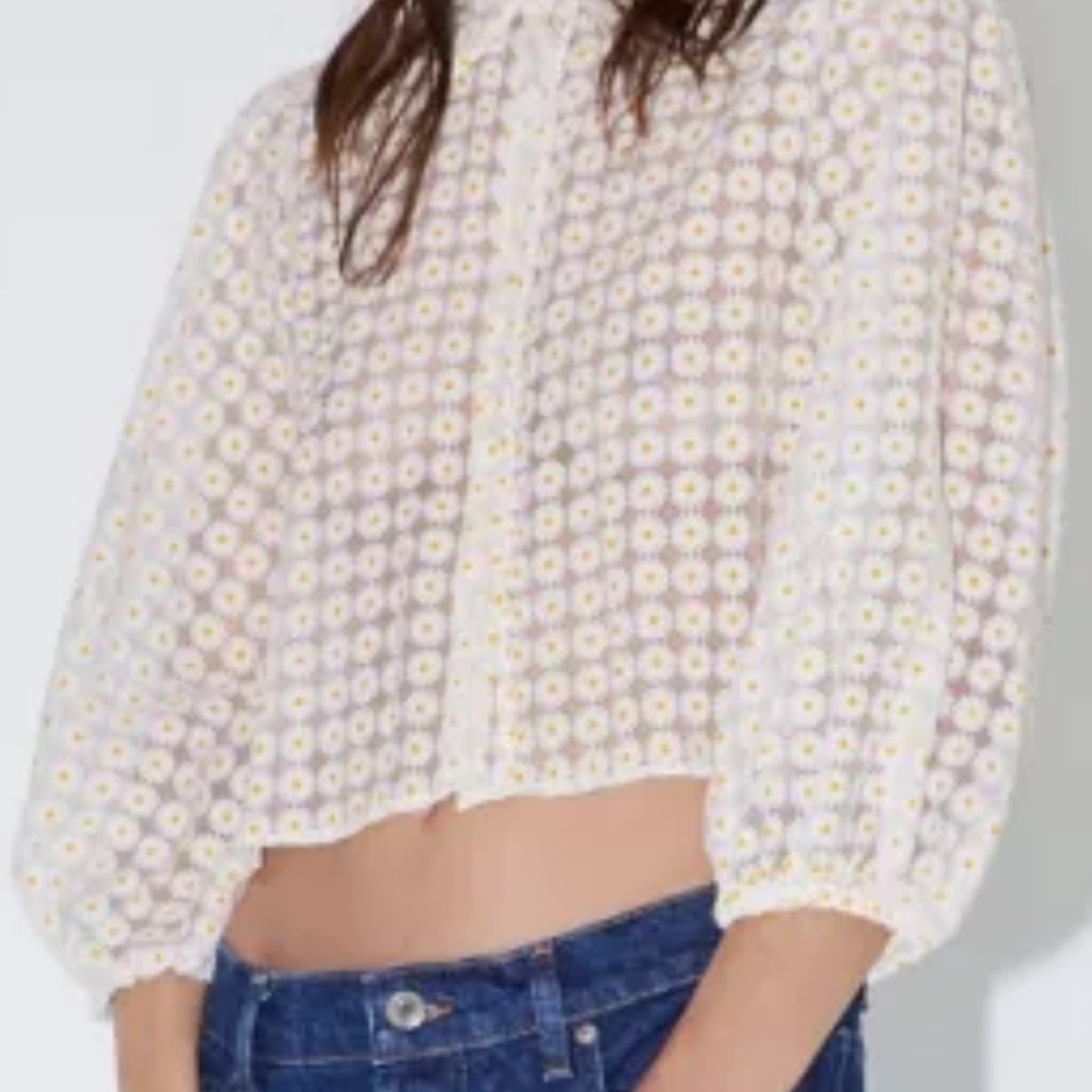 Zara daisy top